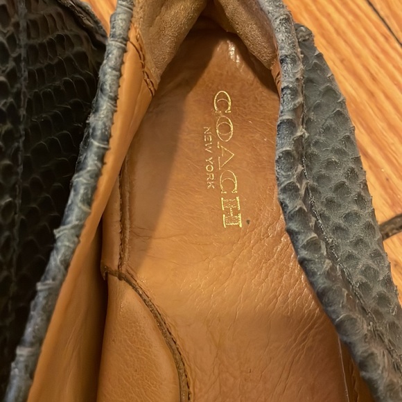 Coach alligator deep blue loafers - Picture 4 of 6